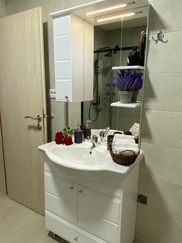 Two-Bedroom Apartment with Terrace image 2