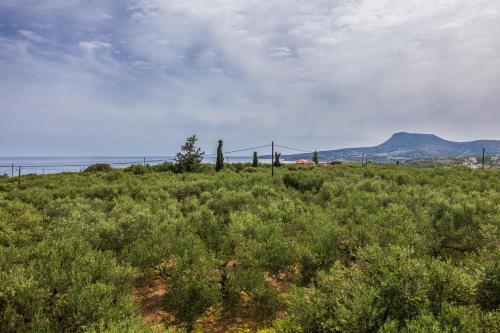 Sea view villa Manolis with private pool near the beach