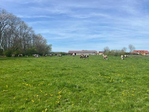 Kilátás, Au Cœur de la Vannerie in Fayl-Billot