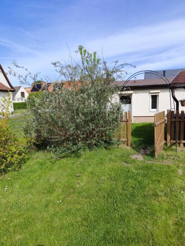Sonnengarten, Ückeritz (photo 4)