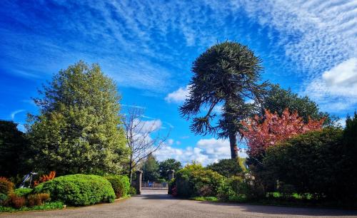 外部景觀, The Pines Guest House in 埃爾金