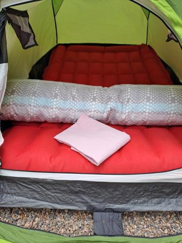 1 futon bed