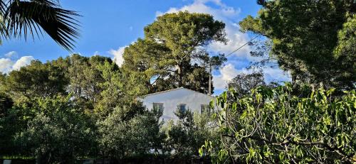 Bastidon indépendant - Location saisonnière - Cuers