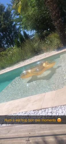 La campagne en provence avec piscine