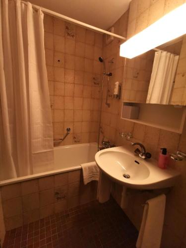Hotel Brienzersee - image 13