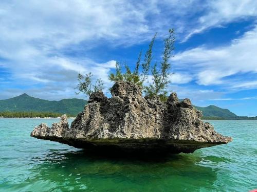 Villa Aglaia mit Pool, Garten und Palmen