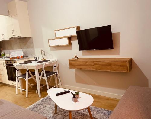 Home Inn Apartment near City Center, Tirana (photo 2)