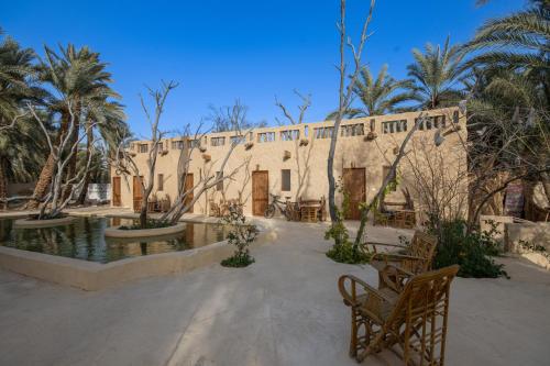Зовнішній вигляд готелю, Olive Garden House Siwa in Сива