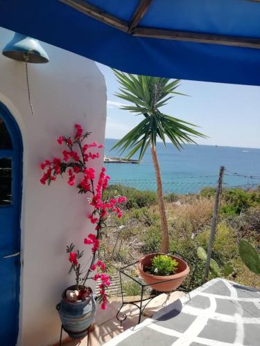 Kilátás, Kynosoura's sea view in Spithari