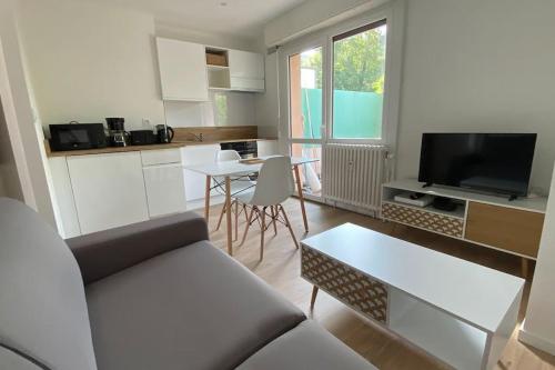 « Le scandinave » T2 wifi, terrasse et parking - Location saisonnière - Thonon-les-Bains