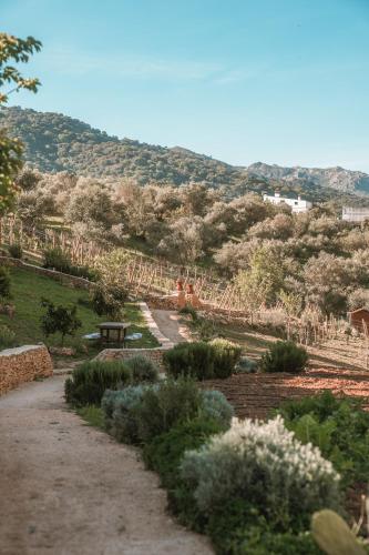 Eco Hotel Cueva del Gato