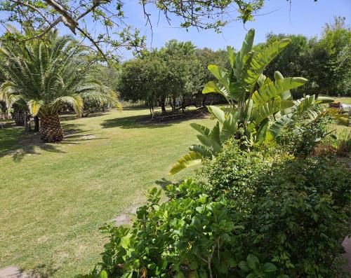 Hotel Onda Marina - image 11