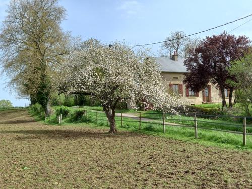 l'Ouche Grillee - Location saisonnière - Cercy-la-Tour