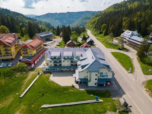 Apartment 207 in Feldberg Schwarzwald, Deutschland