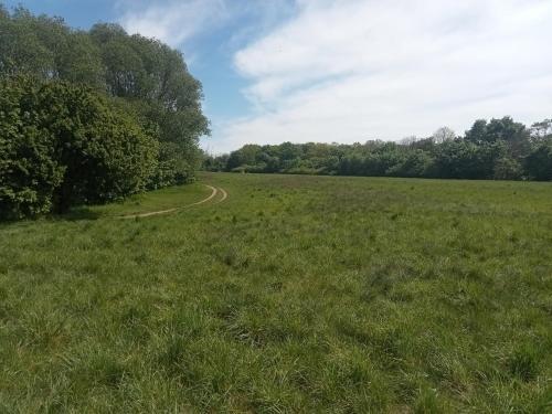 Facilities, Stadtgrun 1 in Hellersdorf