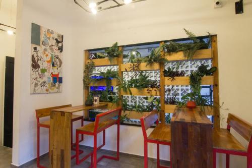 Ресторан, Aldea Hostel & Cafe in Кордова