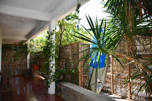 la playita hostal in San José del Cabo, Mexico