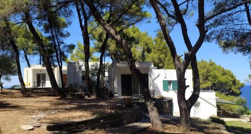 House in pines in front of the sea, Vourvourou (fotografie 3)