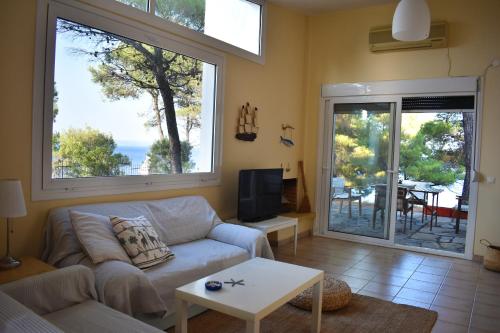 House in pines in front of the sea, Vourvourou (fotografie 10)