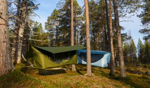 Pine Sky - Hammock Camp - Tap to explore photos