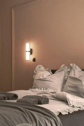 Elegant Apartment in the City Center, Wrocław (photo 2)