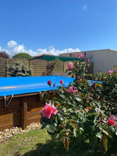 Jolie petite maison rénovée piscine