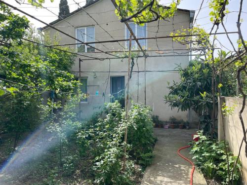 Green garden guest house