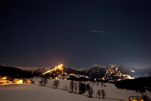 Hotel Ramsaueralm - image 10