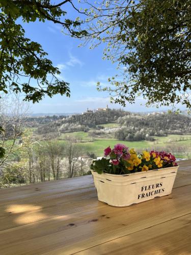 Cascina Voglietti - Private Pool