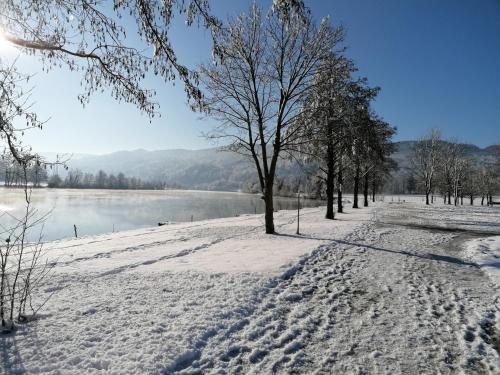 Ribiški dom Radeče