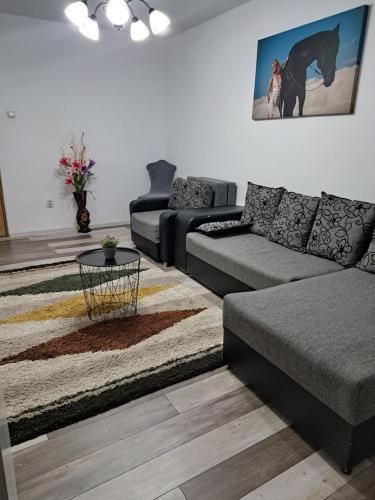 Ali Relax Home Apartment in โรมัน