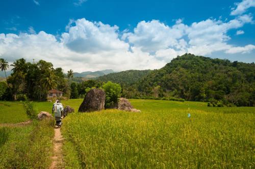 Polwaththa Eco Lodges