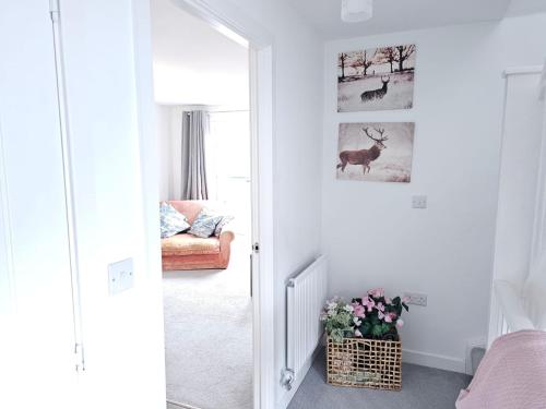 Ipswich - 3 Beds - Sleeps 6 - Private Garden, Ipswich (zdjęcie 7)