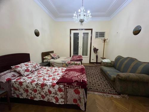 Beautiful apartment in the heart of cairo