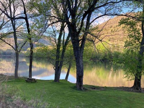 Riverfront Property in NRG National Park near Sandstone Falls- Wi-Fi, Pet-Friendly