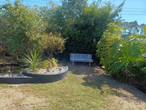 cosy home in New Lynn in New Lynn