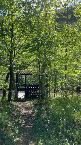 Cottage by the river Valea Draganului