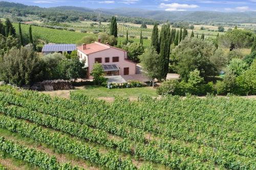 Tenuta di Litiano - image 6