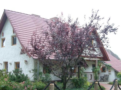 Haus Jasmin in Bodstedt, Deutschland