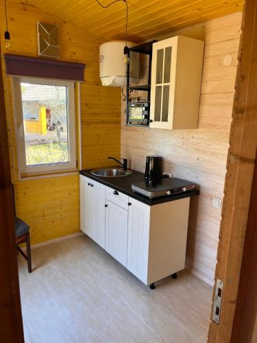 Konyha, Katase Tiny House, Secluded Beachfront Cabin on Lake Peipus in Kauksi