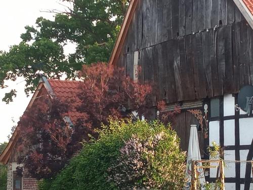 Wohlfühlwohnung im Grünen auf Pferdehof, Detmold