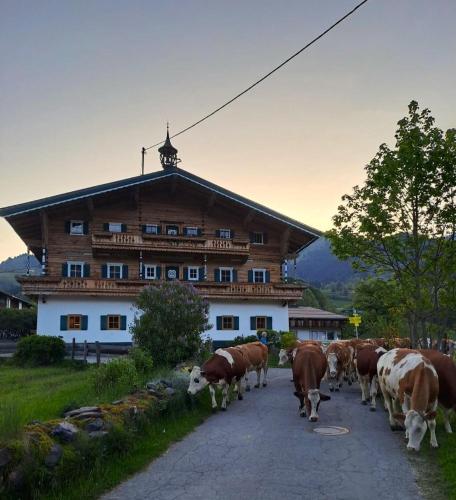 Ferienwohnung Kirchern