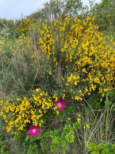 Haus Strandnah Haus Strandnah