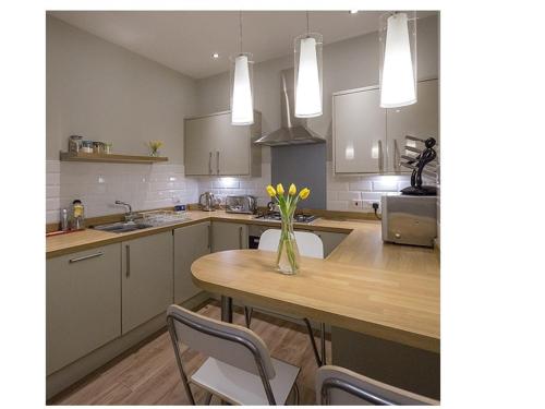 The Lane Apartment - Edynburg