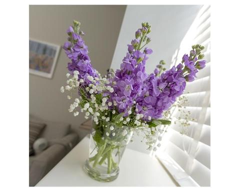 The Lane Apartment - image 2