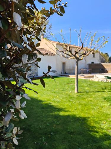 Gîte entier en Campagne - Location saisonnière - Pernes-les-Fontaines