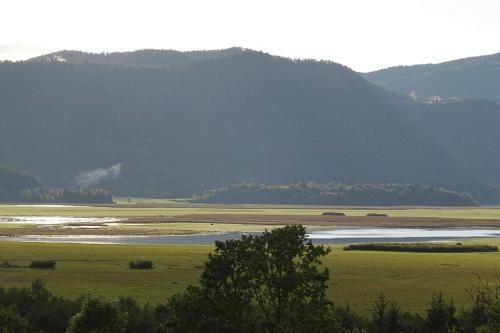 A környék, Dormouse House in Slovenia in Grahovo