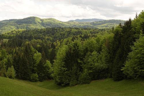 A környék, Dormouse House in Slovenia in Grahovo