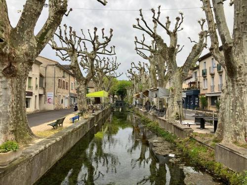 Magnifique mas provençal avec piscine au centre de Goudargues