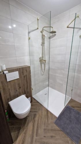 APARTAMENT JARACZA 28 nr 18